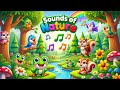 Sounds of Nature 🌿🎶| Song for Kid's in English