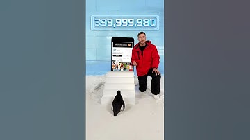 Can I teach a penguin to subscribe? #shortsfeed #mrbeast #mrbeastshorts #ytshorts