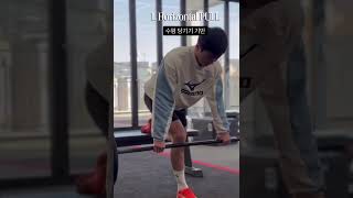 Bulgarian bent over row