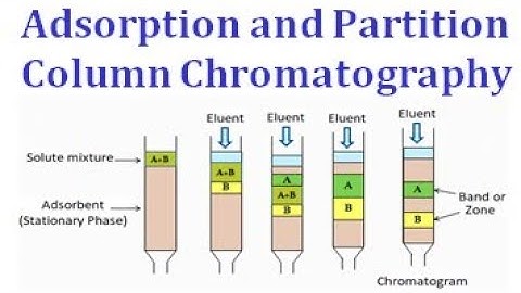 Adsorption and partition column chromatography