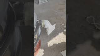 Anium Dioxide Screening Machine