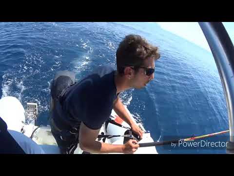 Tonno di 57 kg un vero e proprio treno