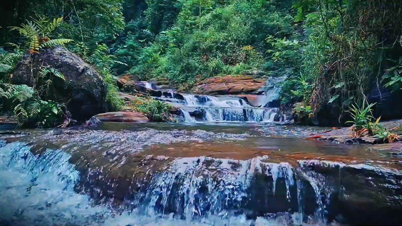 Mountain River Waterfall Flowing | Water Sounds, Nature White Noise, River Sounds for Sleeping