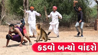 કડવો બન્યો વાંદરો | KADVO BANYO VANDRO | NEW COMEDY VIDEO | DESI COMEDY