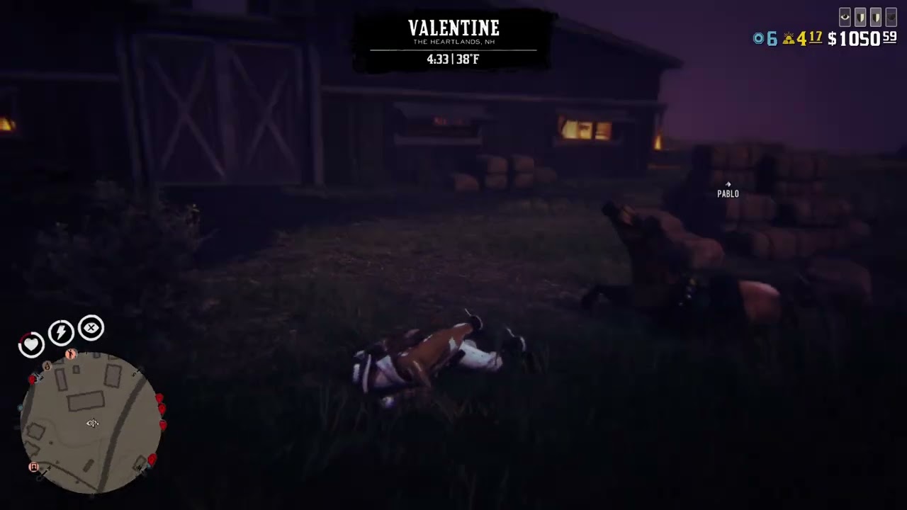 Stupid horse damn hay