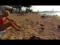 Таиланд.Центральный пляж Паттайи.Жена кормит голубей крабами и креветками.