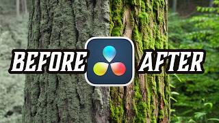 Color Management Will Change Your Color Grades!