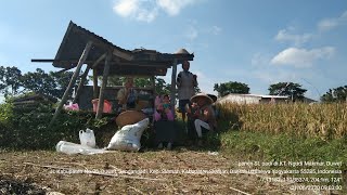 PROFIL SARASWATI, S TP: PENYULUH PERTANIAN TELADAN KABUPATEN SLEMAN TAHUN 2020