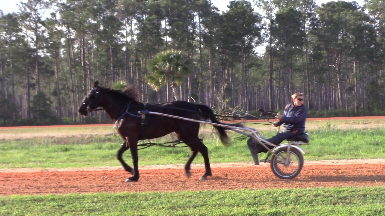 2 26 20 02 Burke Training Center YouTube