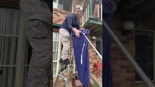 Queensland Catcher Removes Two Carpet Pythons from Roof Space