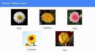 Flower Classification: Approach to solve the problem