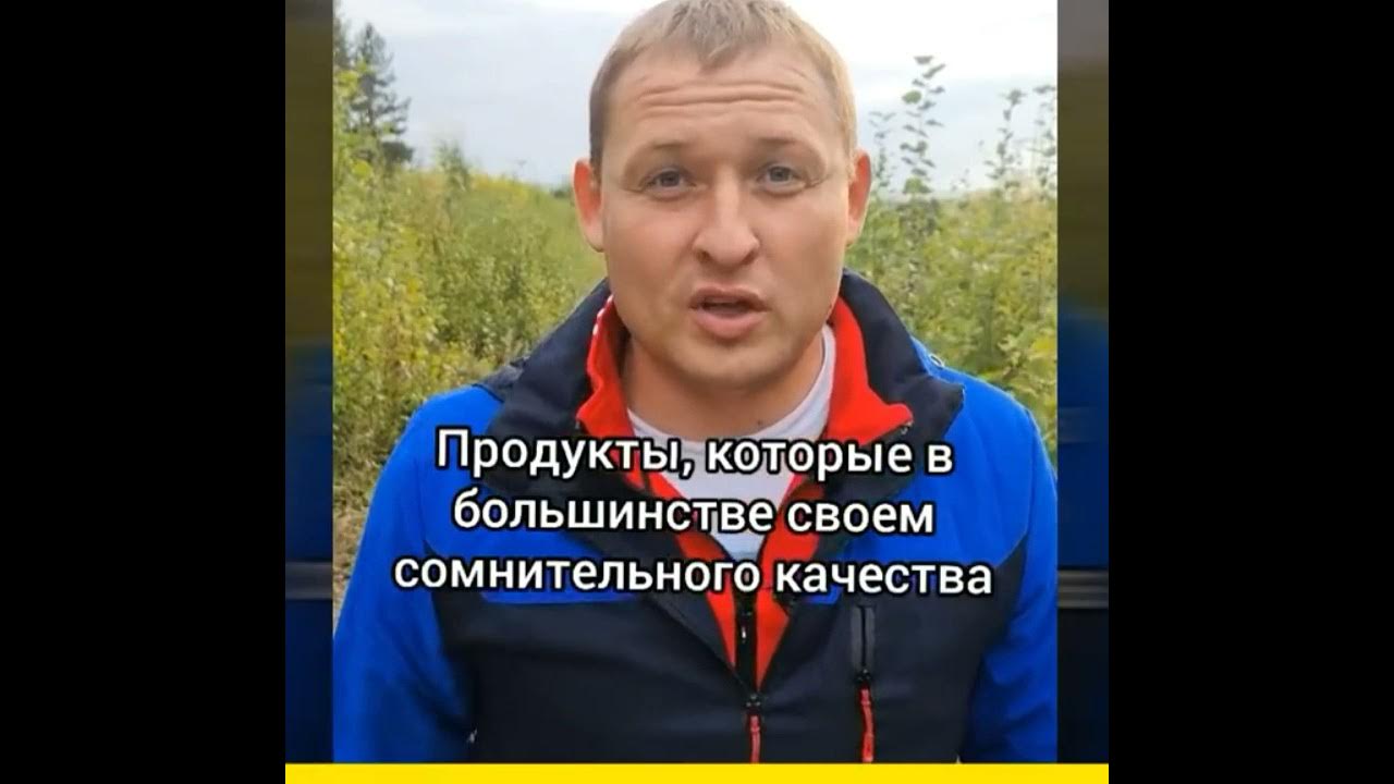 Володя молодец. Воспитателям по 10 тысяч рублей от путина. Владимир путин политик лидер и борец. Владимир путин молодец политик. Владимир путин политик лидер и борец.