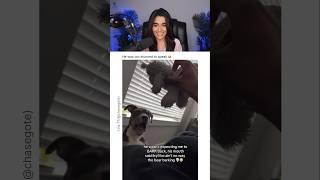 DOG WAS TOO STUNNED TO SPEAK 😭