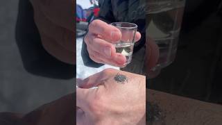 Так создаются Камчатские традиции #камчатка #турыкамчатка #экскурсиикамчатка #вулканэмоций