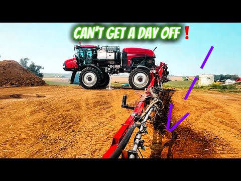 I BACKED INTO A TREE! - YouTube