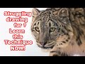 How to Draw Fur Using Pastels - What You MUST KNOW