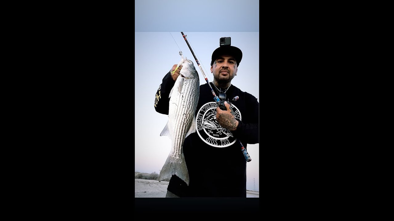 Fluke | Spike it | KMB Jerk Bait | Must have on the California Aqueduct