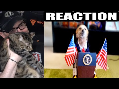 Best Pet Videos of the Decade (Daily Dose Of Internet) REACTION
