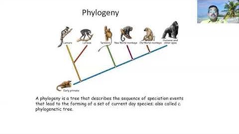 Phylogenetic tree: Basics