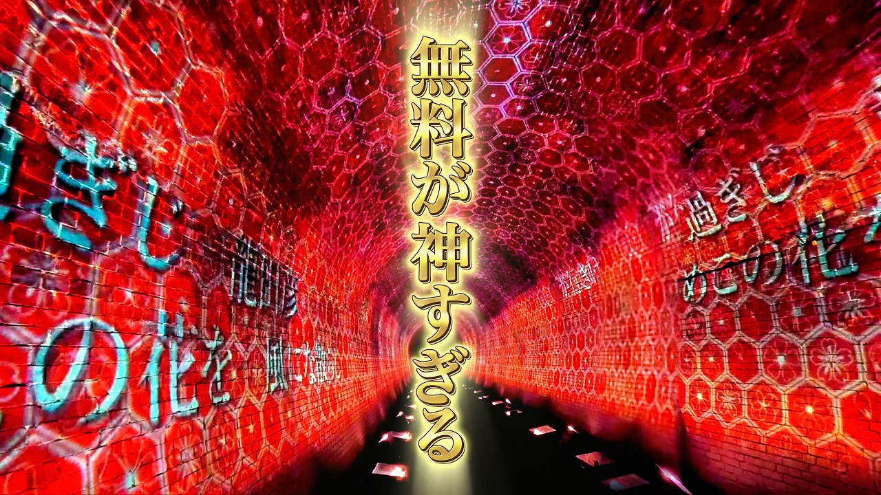 【大阪 柏原市ゆるい旅キョウとタカ編】日本遺産トンネル無料ツアーが神すぎる！観るべきラストのプロジェクションマッピング！亀の瀬地すべり歴史資料室