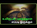 உங்களை உயிருடன் புதைத்தாள் எப்படி இருக்கும் / What If You Where Buried Alive - To AMAZE