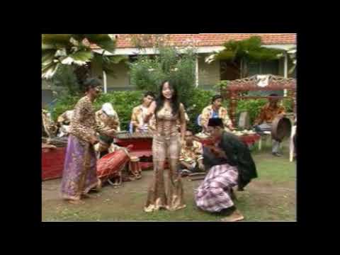 Gambang Dangdut Kocak 'Mister Hai' Nita Natalia