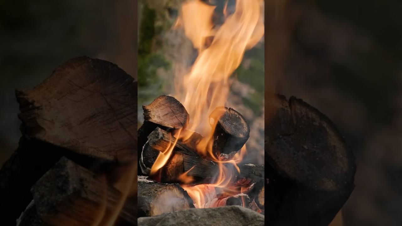Campfire Ambient Sounds | Crackling Fire in the Forest for Sleep & Relaxation_1