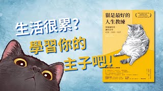 Download Lagu 為什麼人充滿焦慮，貓卻能活得自在？學習停止內耗的貓系哲學 🐱 揭秘貓貓的高冷生存智慧!😎找回人生主導權！🚫💪🏻 |【自我成長】 MP3