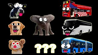 Different Animals Vs Different Vehicles Sound Variation Megamix In 74 Seconds Lk Loves Potato