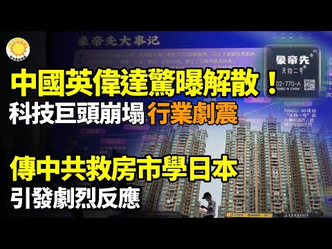 【财经】“中国英伟达”惊曝解散 员工一夕全失业 业界大惊;传中国救房市要学日本 引剧烈反应;横店20万群演的扎心现状:懒汉乐园,光棍世界,疯子 ...