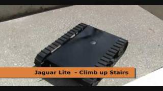 Jaguar Lite Running