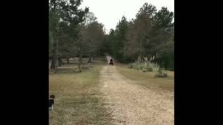 Ruby da cherry riding ATV old video