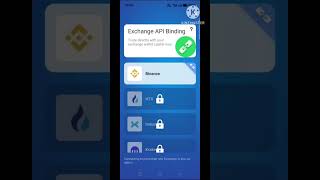 Royal Q Robot. Binace Api Bainding.per Day Profit ,