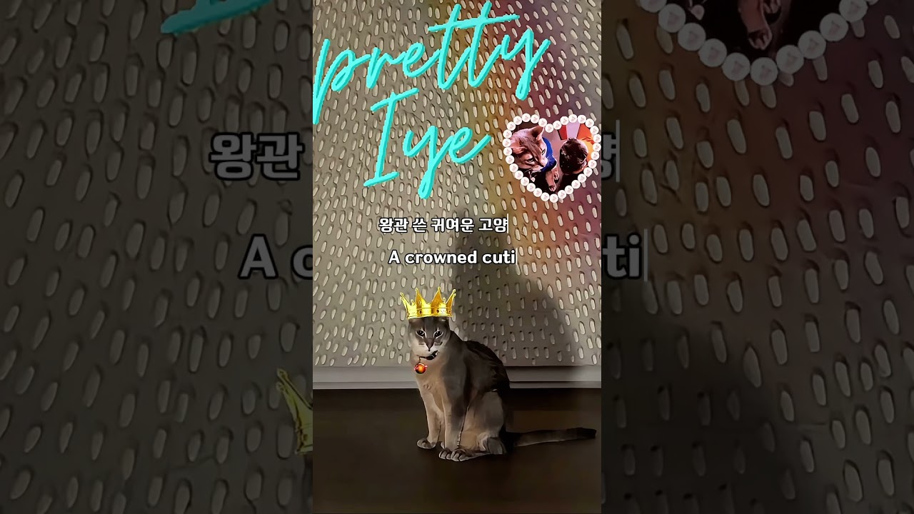 지드래곤의 애묘… 인스타에 올라온 귀여운 순간 G-DRAGON’s Cat Just Appeared on Instagram 