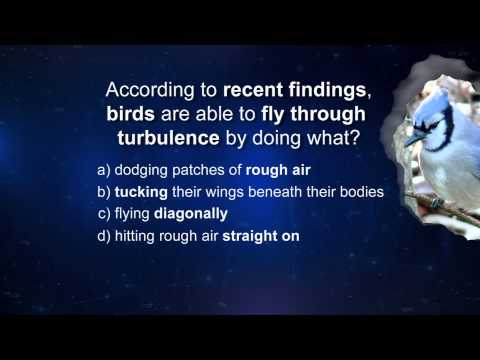 A Matter of Fact: Birds and Flight Instructional Video