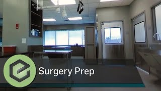 Wheat Ridge Animal Hospital 360 Tour - Surgical Prep