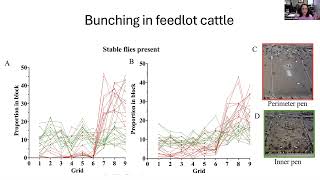Tick IPM and New Approaches to Fly Thresholds on Cattle