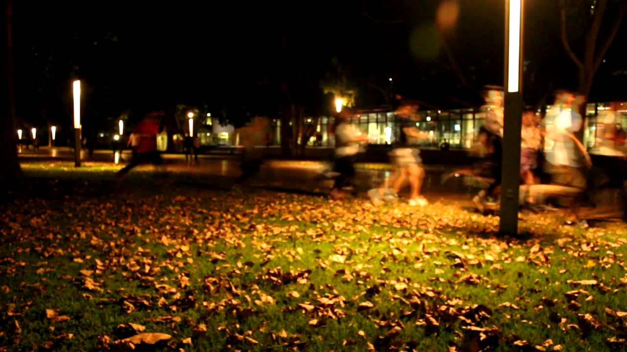 MODSOC Unification Day Promo