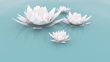 Blender timelapse: lotus