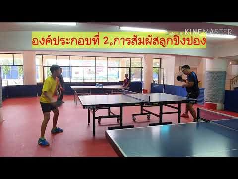 ฝึกตีเบสิกโฟร์แฮนด์อย่างไรให้เร็วและแรง มี 3 องค์ประกอบ | Pingpongthaibaan