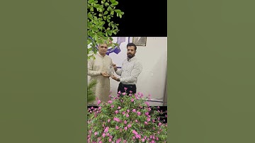 Muhammad Asif- Motivations #multan #news #academicinstitution #education #mnsuet #cs