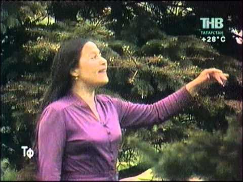 Римма Ибрагимова - Казань, Татарстан, Россия на Мой Мир@Mail.ru