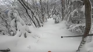 Mount Sunapee Glades on a Powder Day (12/19/22)