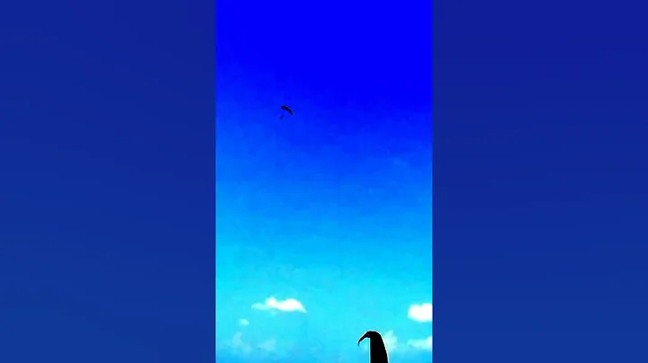 Skydiving - Richard Rau