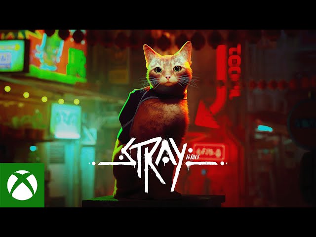 Kitty Stray Simulator Cat Game - Apps on Google Play