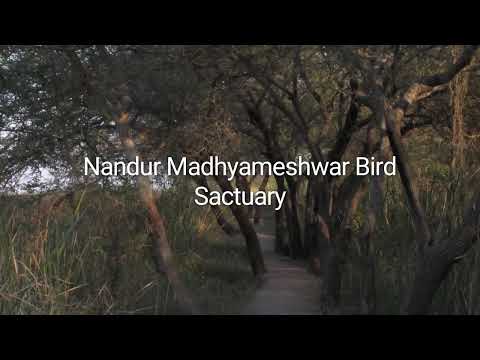 Nandur Madhyameshwar |