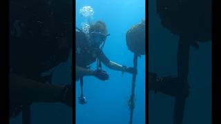 Mooring lines can sometimes cause complacency on ascent #scubadiving