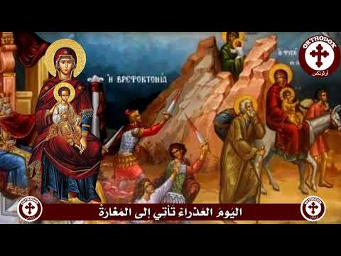 اليوم العذراء تأتي إلى المغارة