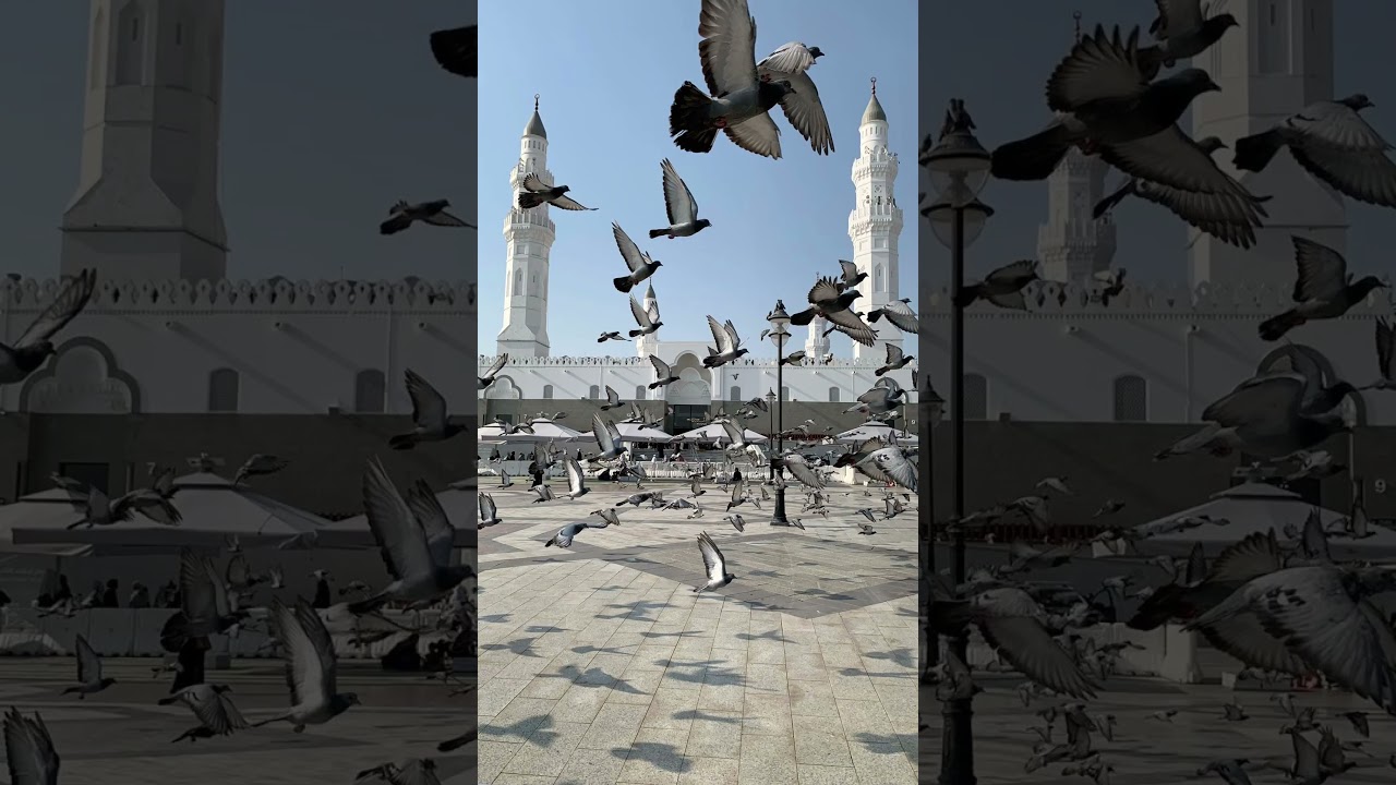 Subscribe for more videos. ❤️❤️ 