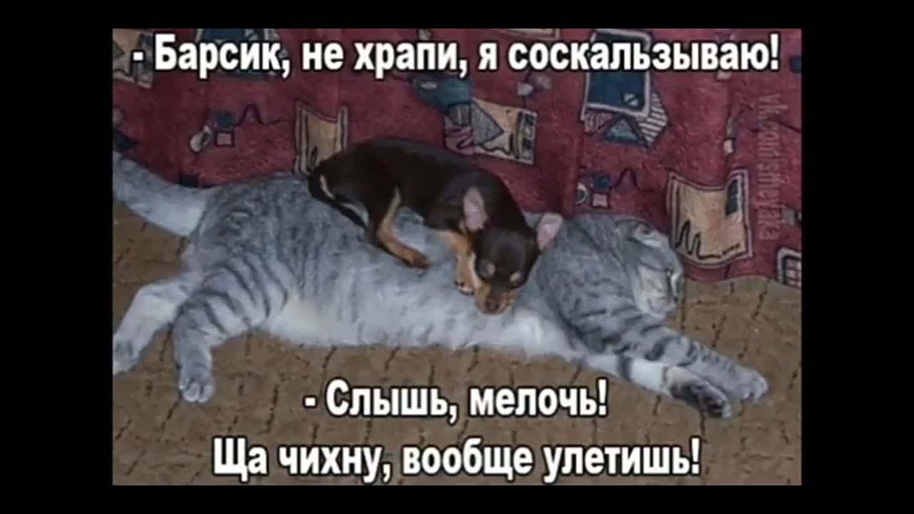 Picture background